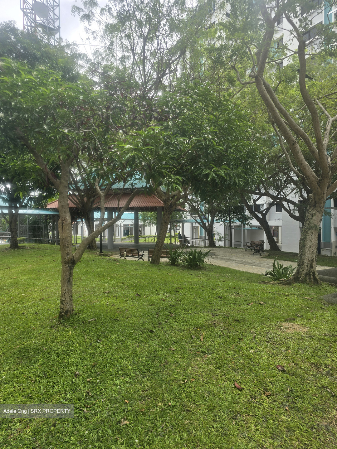 Blk 542 Bedok North Street 3 (Bedok), HDB 3 Rooms #512955901